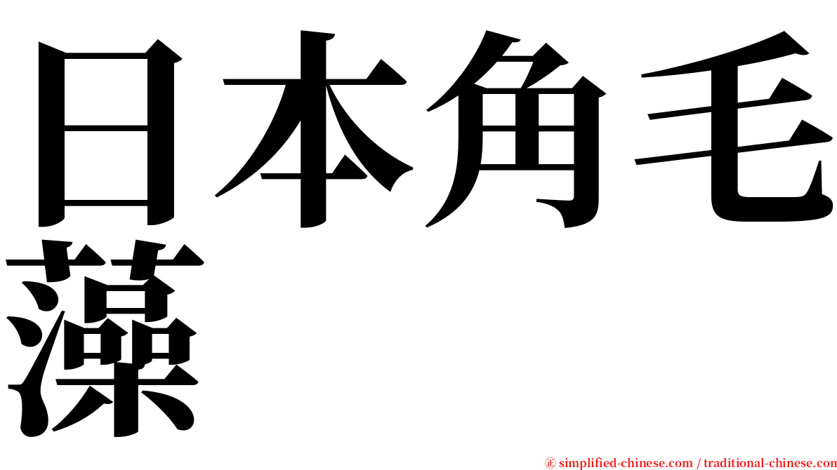 日本角毛藻 serif font
