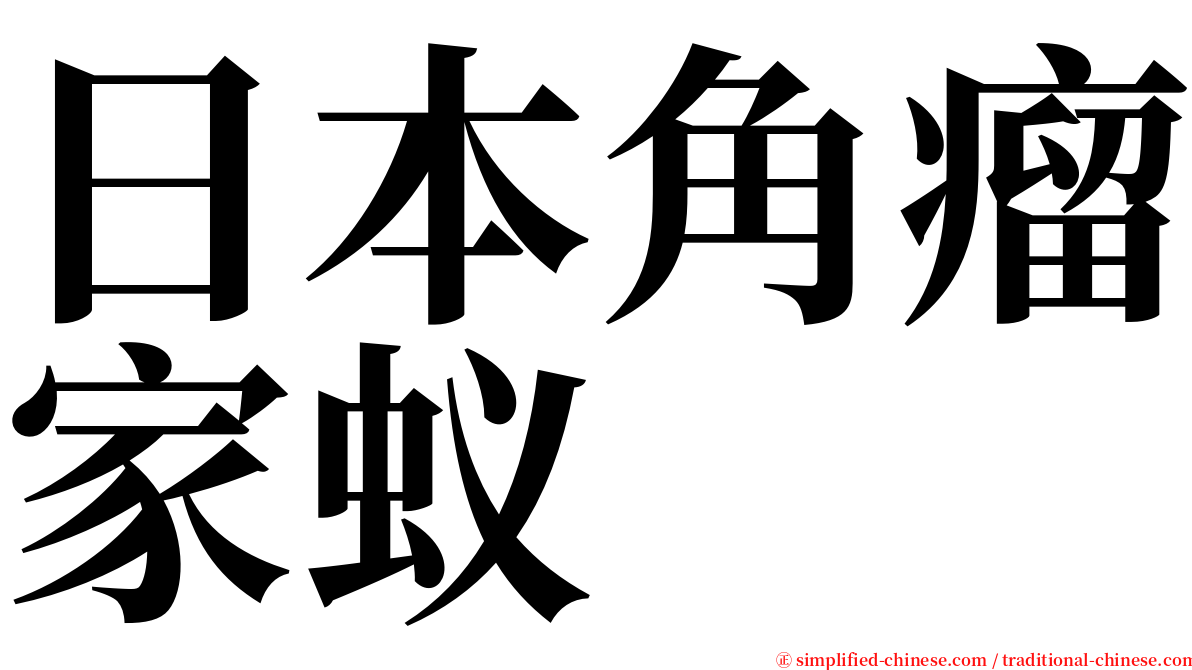 日本角瘤家蚁 serif font