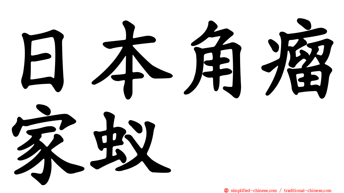 日本角瘤家蚁