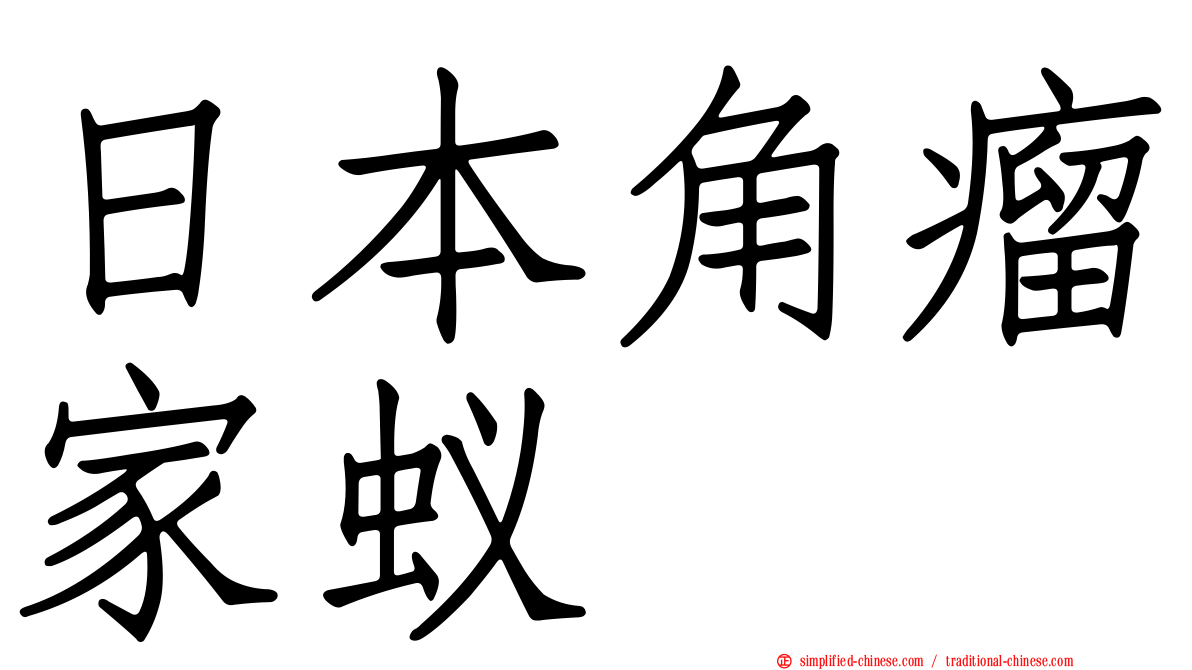 日本角瘤家蚁