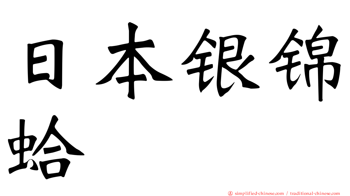 日本银锦蛤