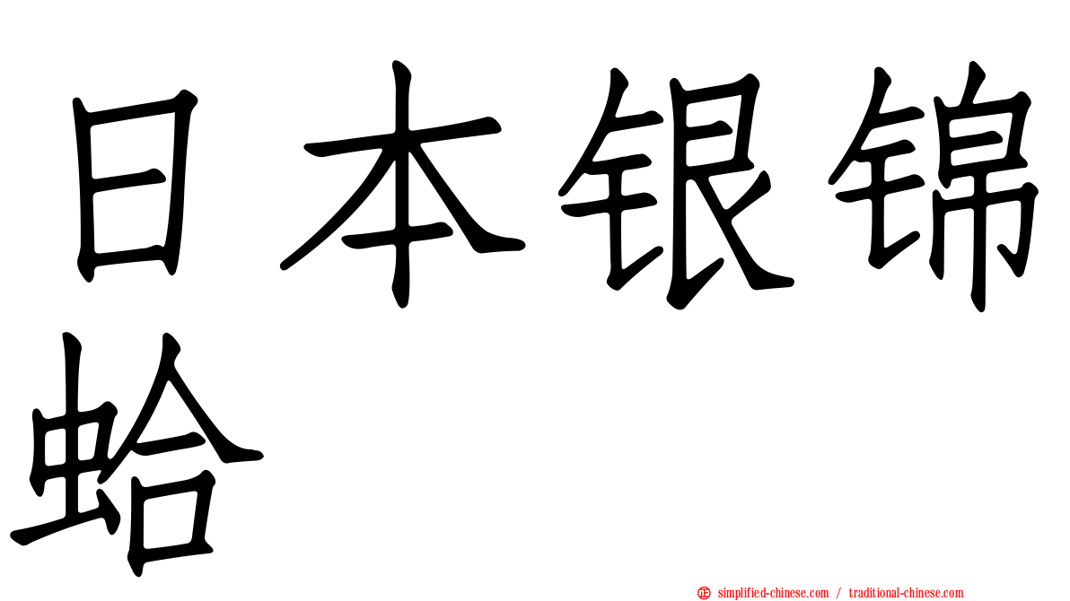 日本银锦蛤