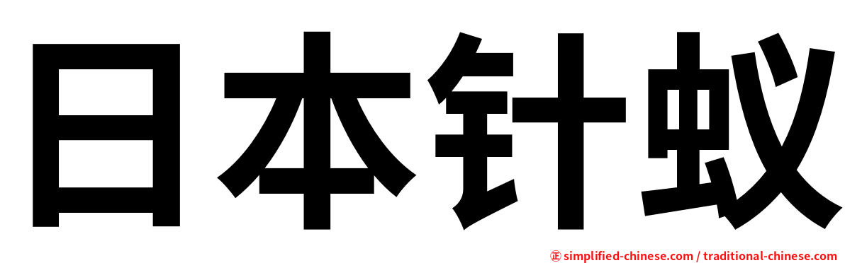 日本针蚁