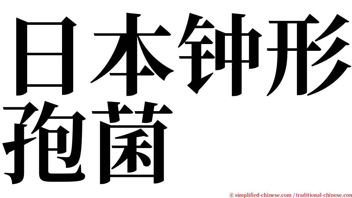 日本钟形孢菌 serif font