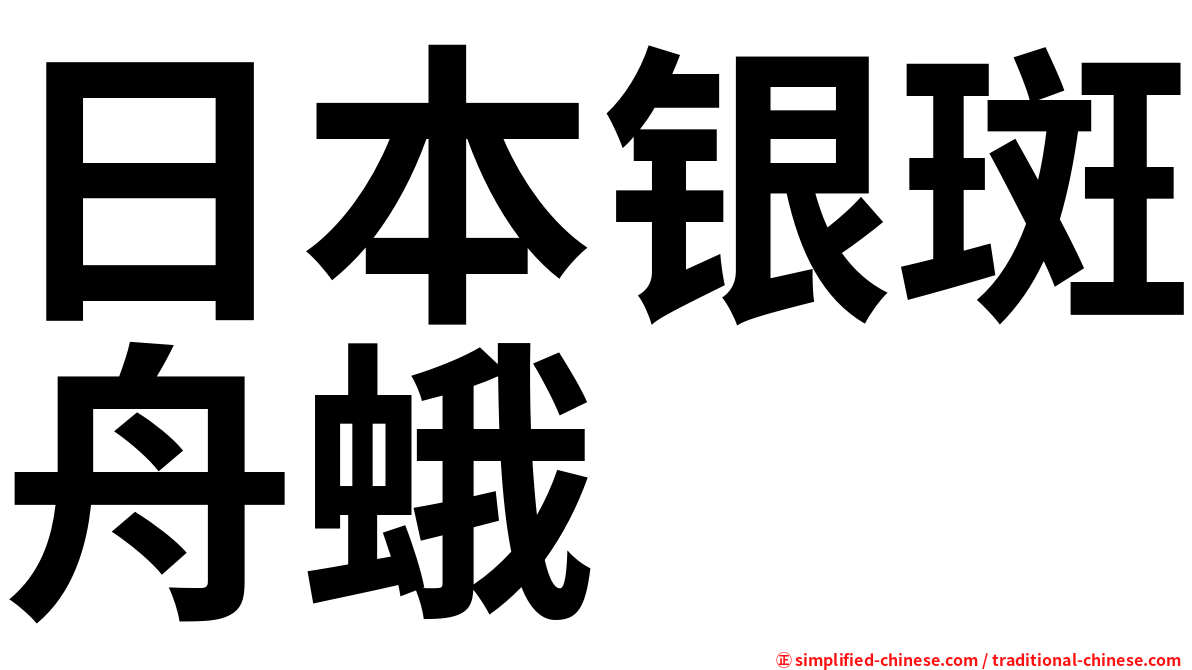 日本银斑舟蛾