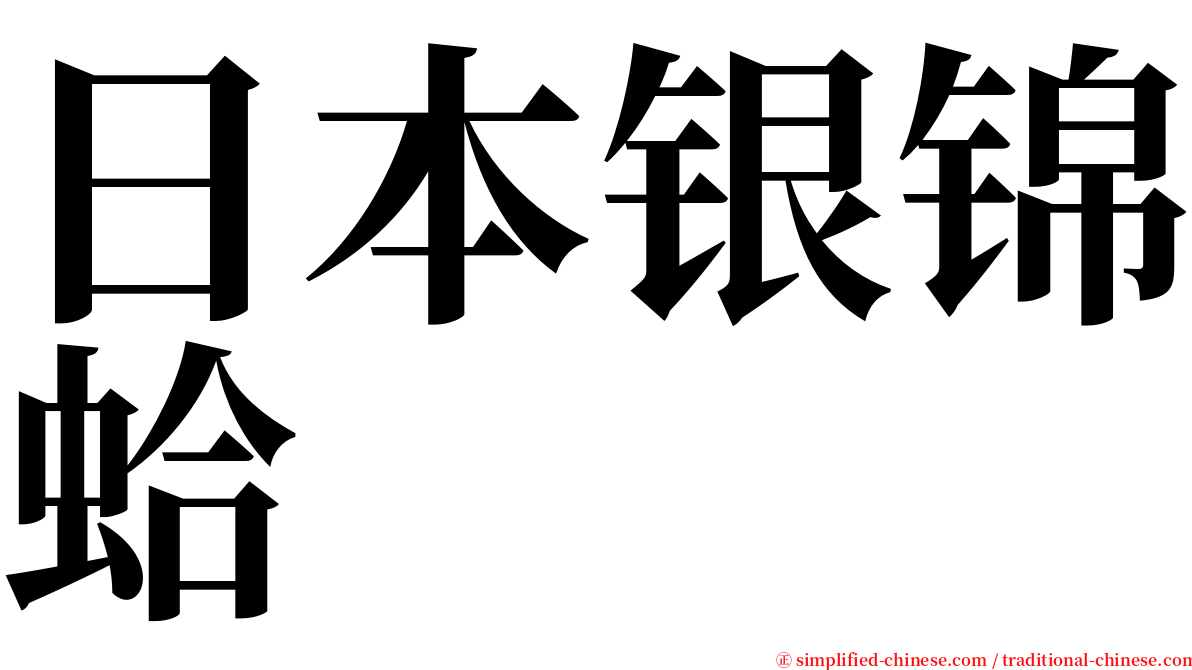 日本银锦蛤 serif font