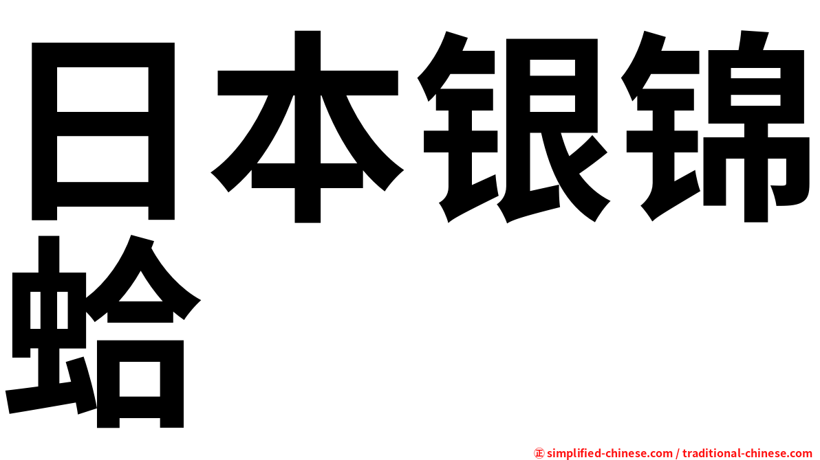 日本银锦蛤