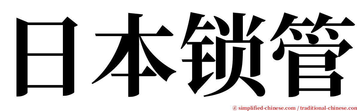 日本锁管 serif font