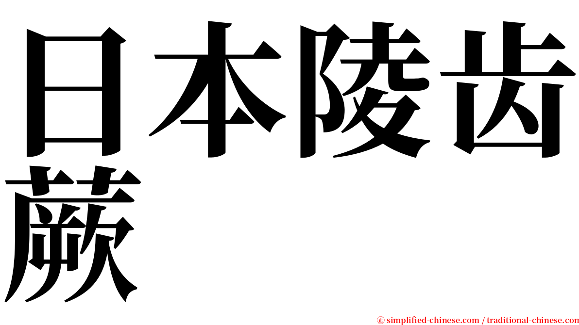 日本陵齿蕨 serif font