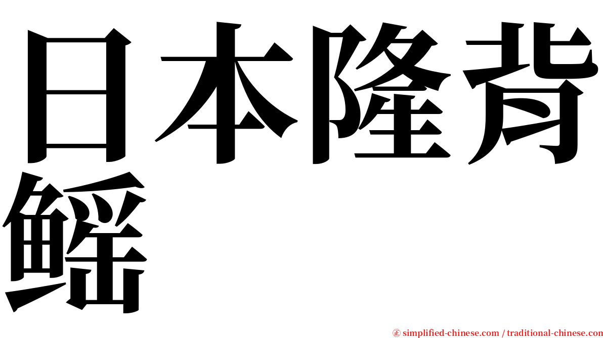 日本隆背鳐 serif font