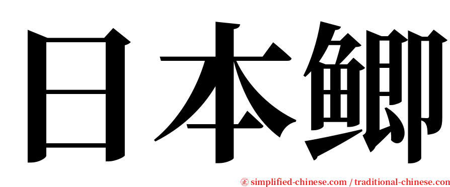 日本鲫 serif font