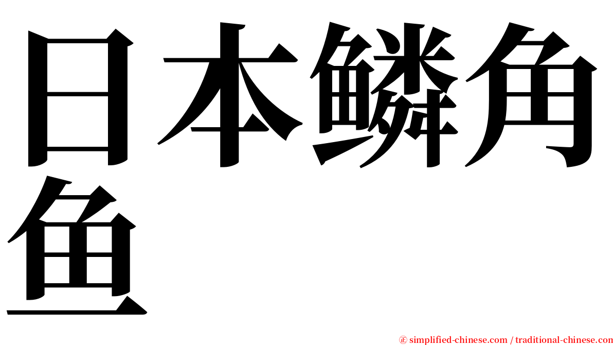 日本鳞角鱼 serif font