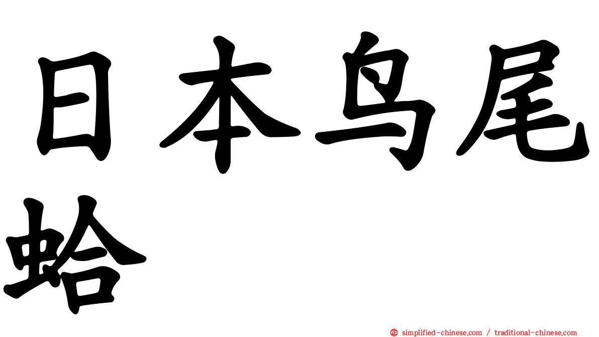 日本鸟尾蛤