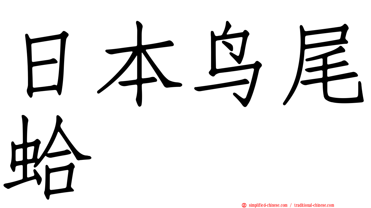 日本鸟尾蛤