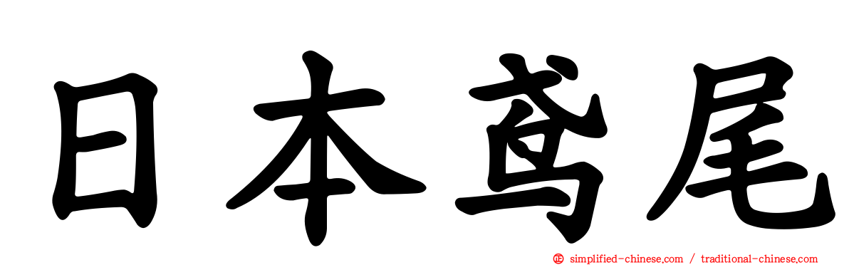 日本鸢尾