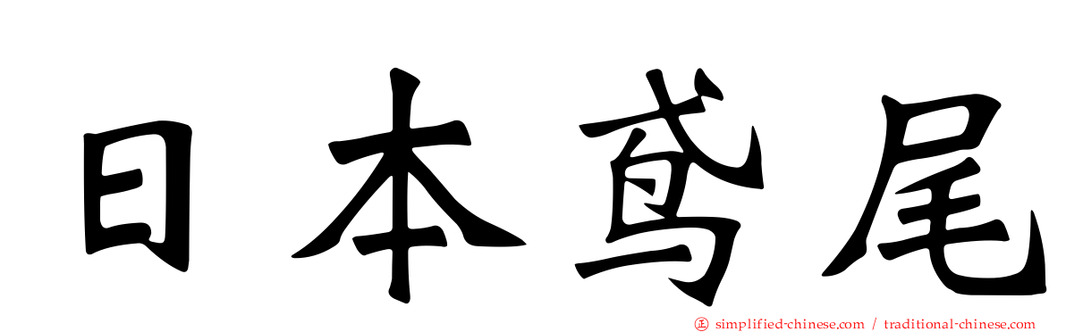 日本鸢尾