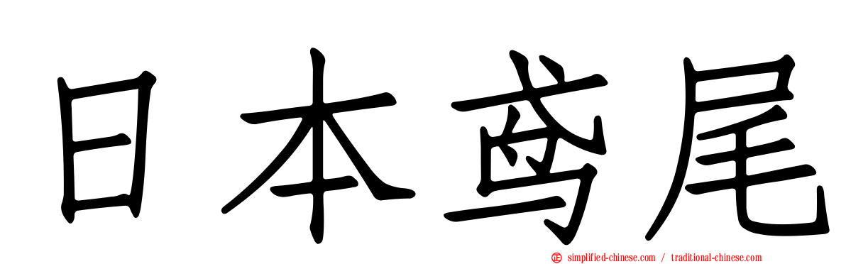 日本鸢尾