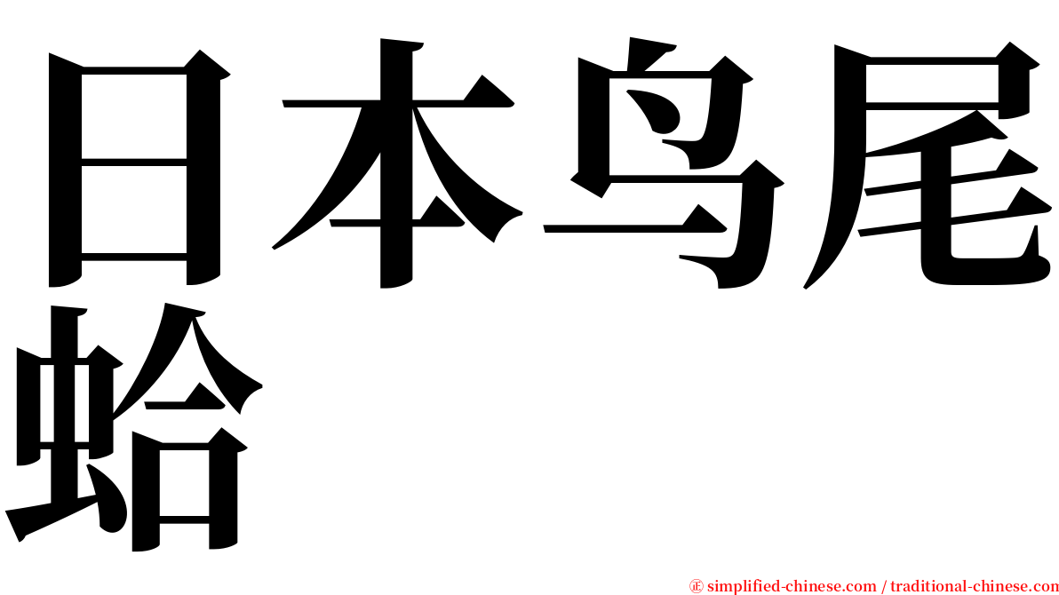 日本鸟尾蛤 serif font