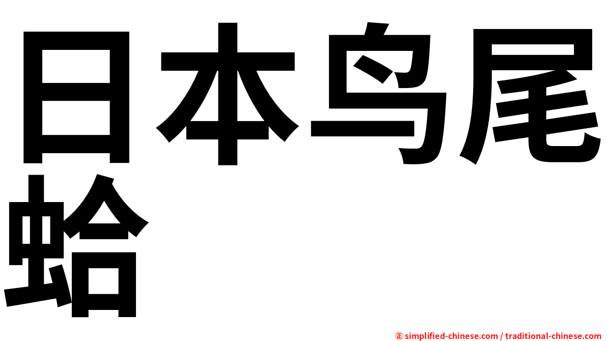 日本鸟尾蛤