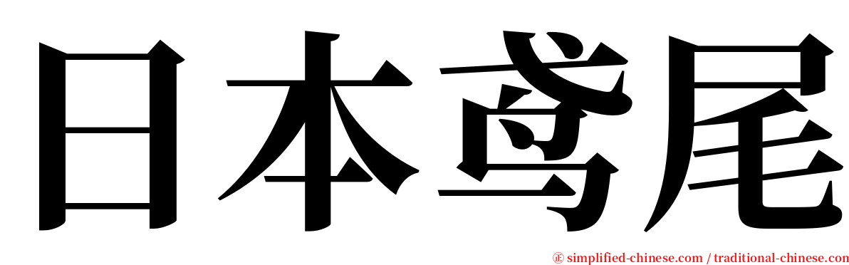 日本鸢尾 serif font