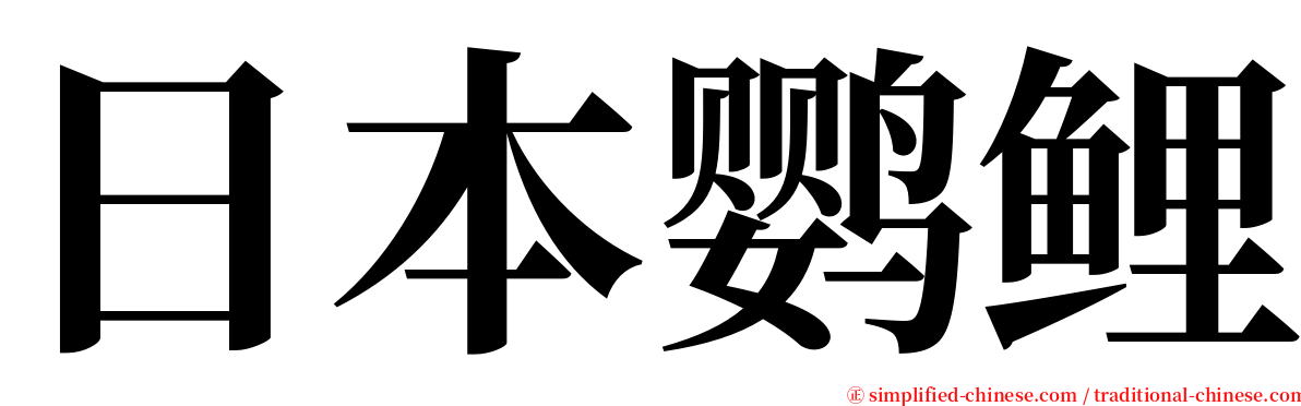 日本鹦鲤 serif font