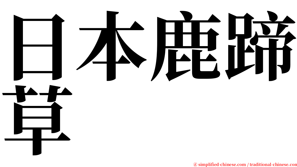 日本鹿蹄草 serif font