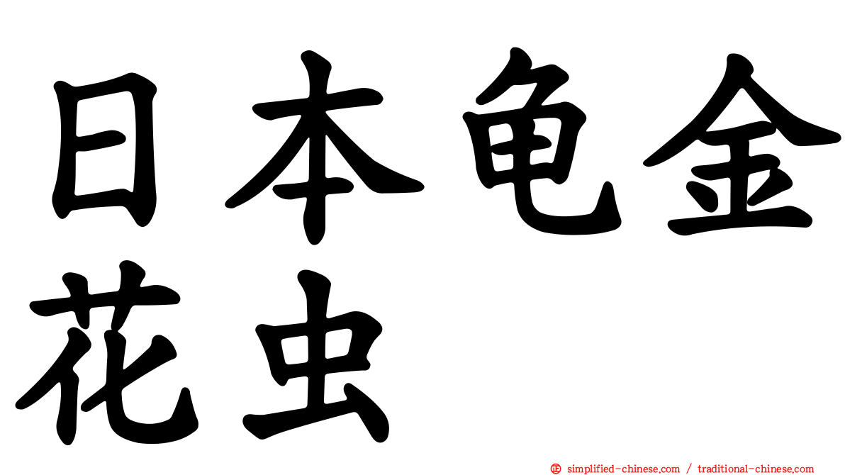 日本龟金花虫