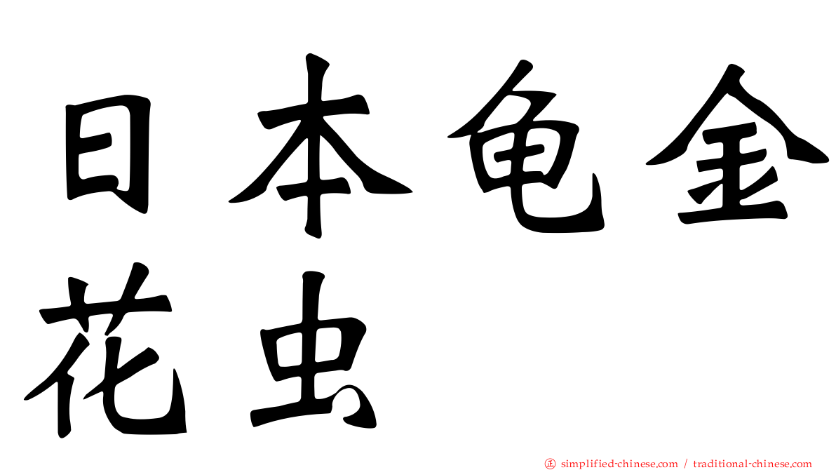 日本龟金花虫