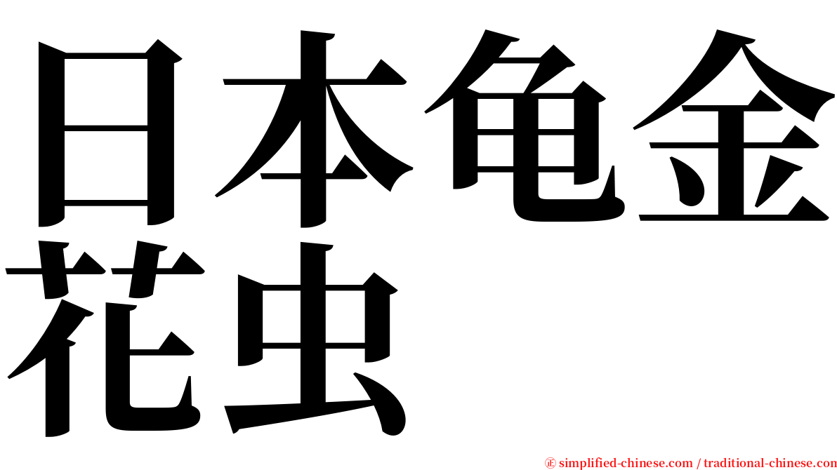 日本龟金花虫 serif font