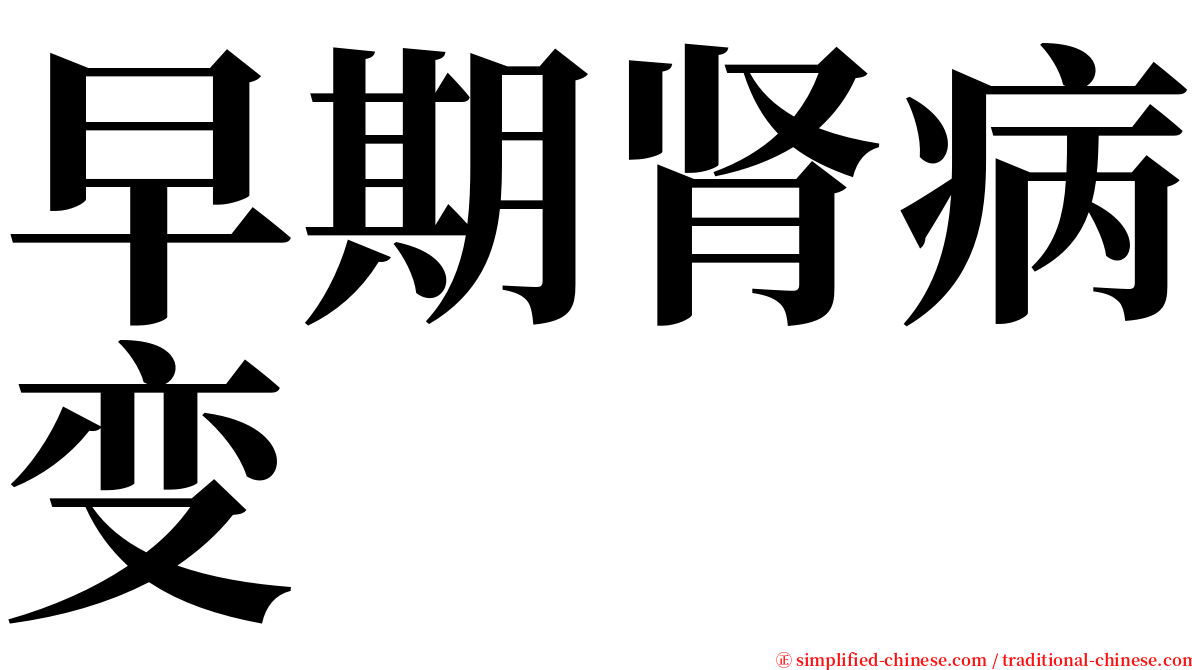 早期肾病变 serif font