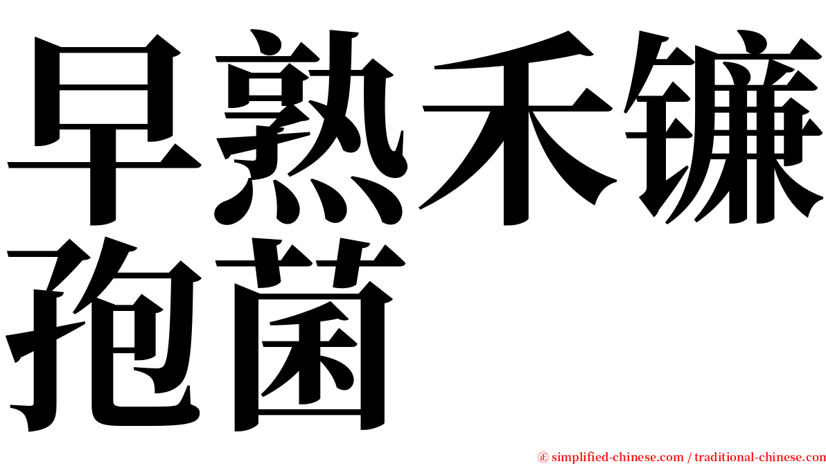 早熟禾镰孢菌 serif font