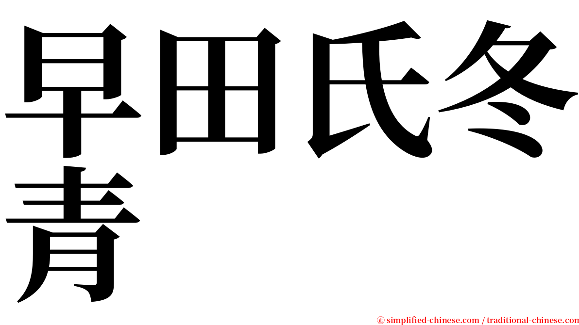 早田氏冬青 serif font