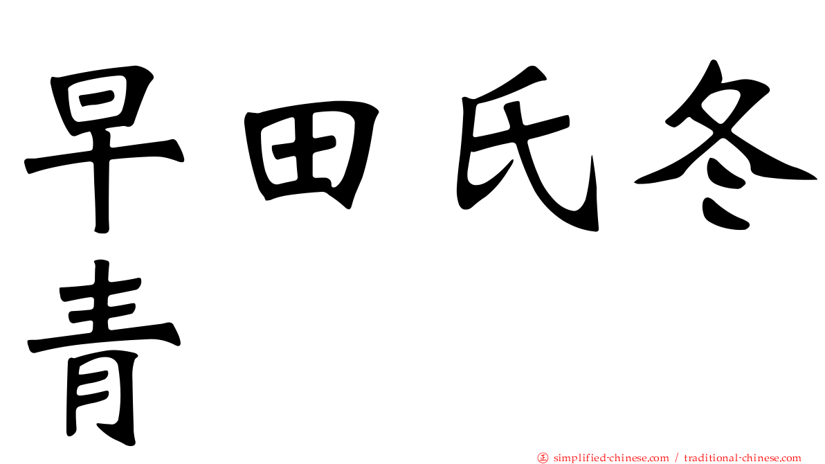 早田氏冬青