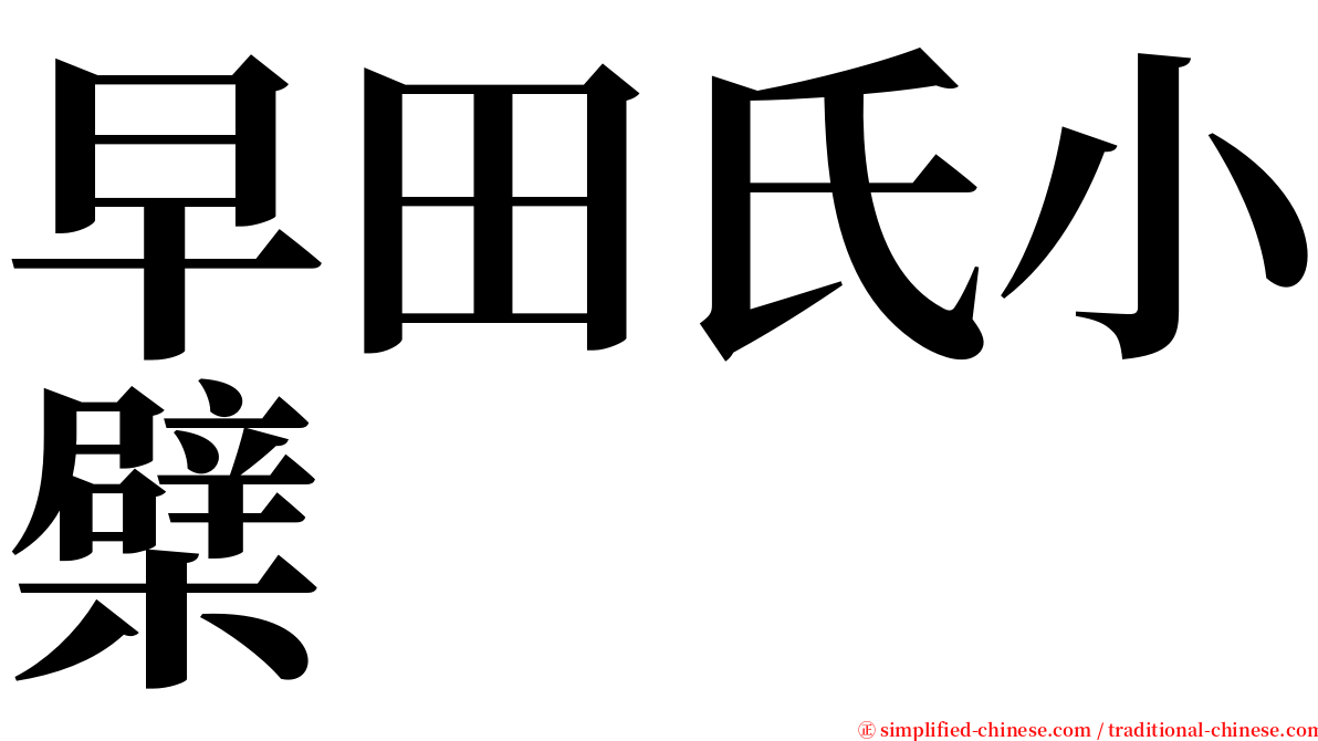 早田氏小檗 serif font