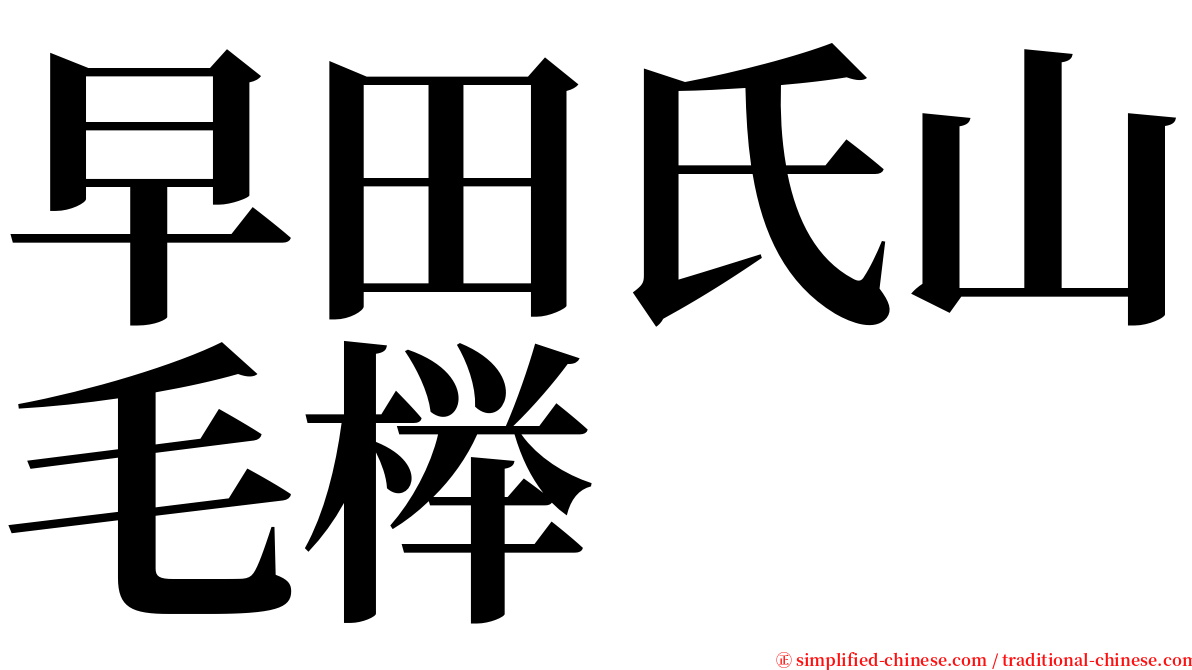 早田氏山毛榉 serif font