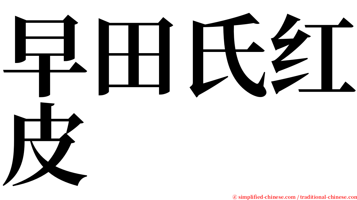 早田氏红皮 serif font