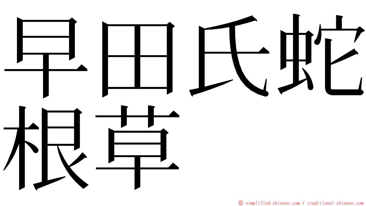 早田氏蛇根草 ming font