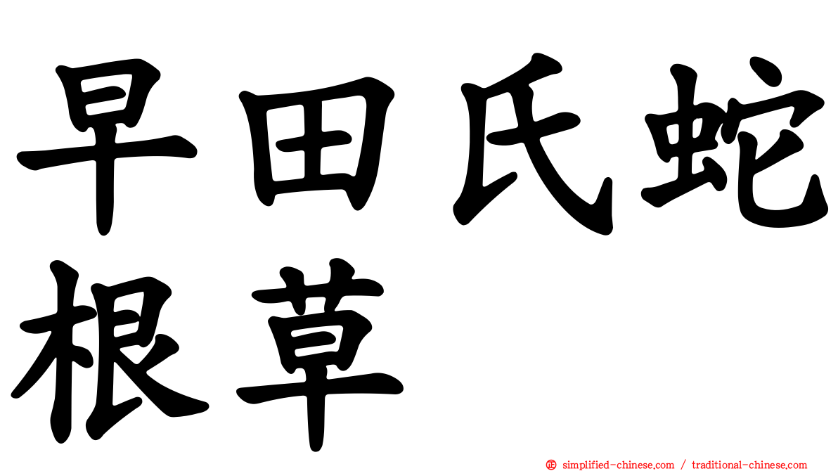 早田氏蛇根草