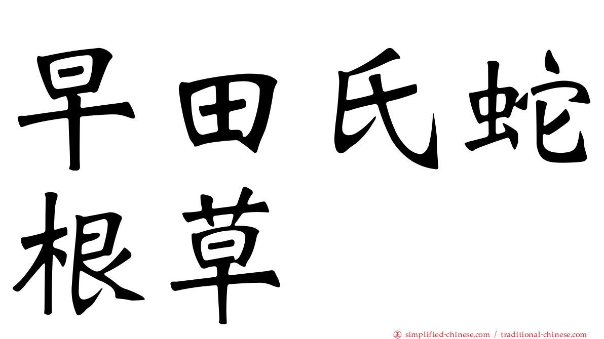 早田氏蛇根草