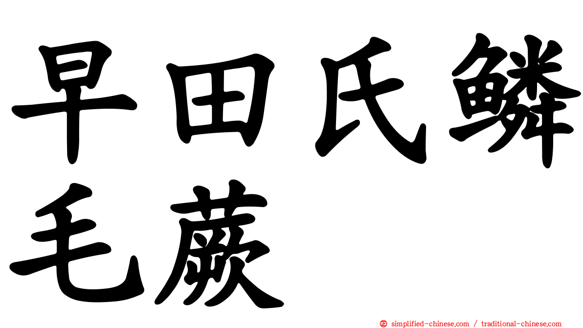 早田氏鳞毛蕨