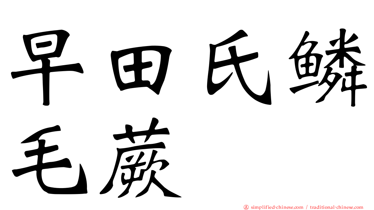 早田氏鳞毛蕨