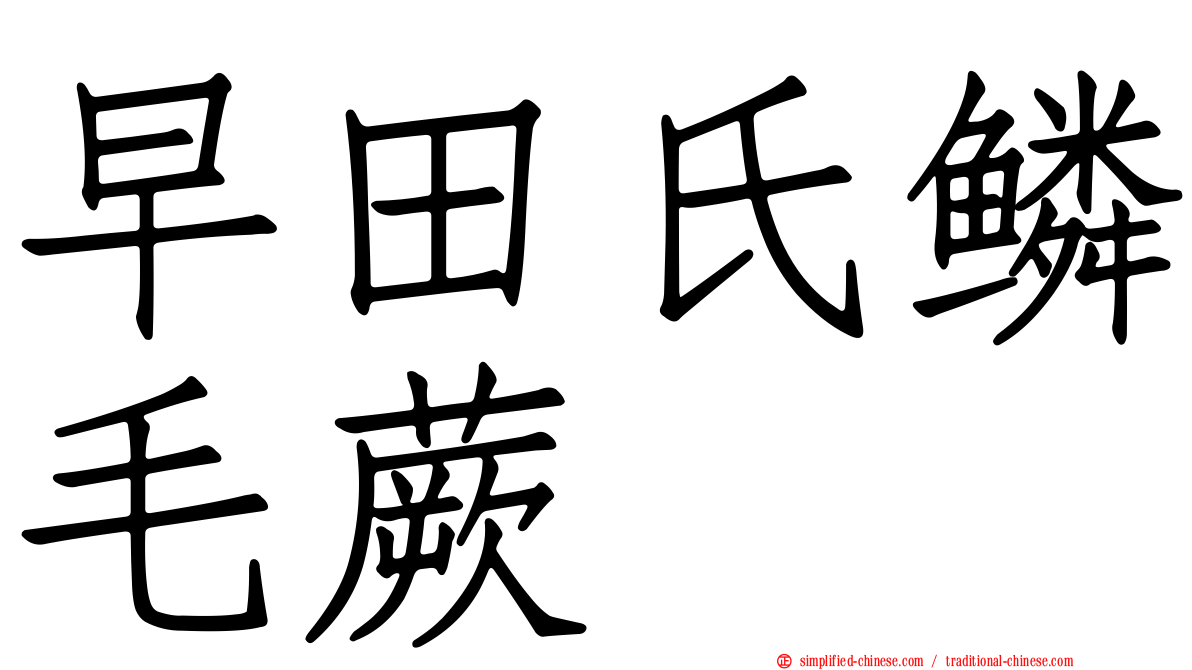 早田氏鳞毛蕨