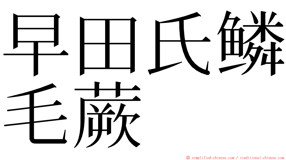 早田氏鳞毛蕨 ming font