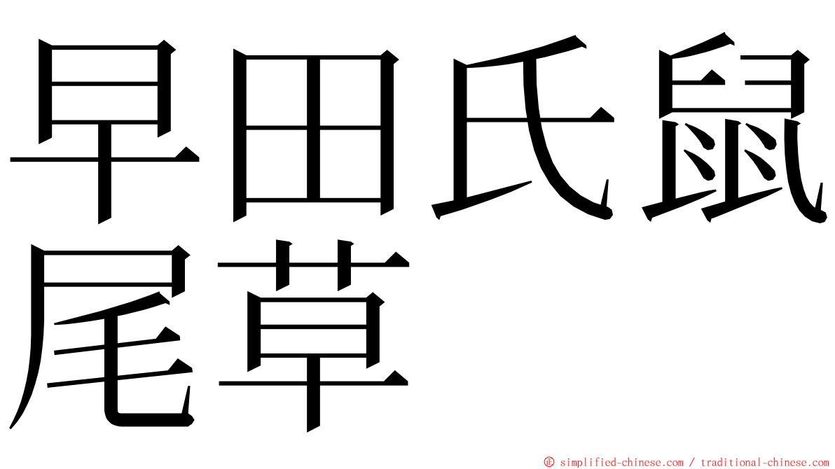 早田氏鼠尾草 ming font