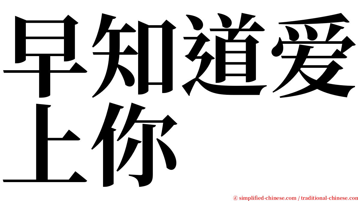 早知道爱上你 serif font