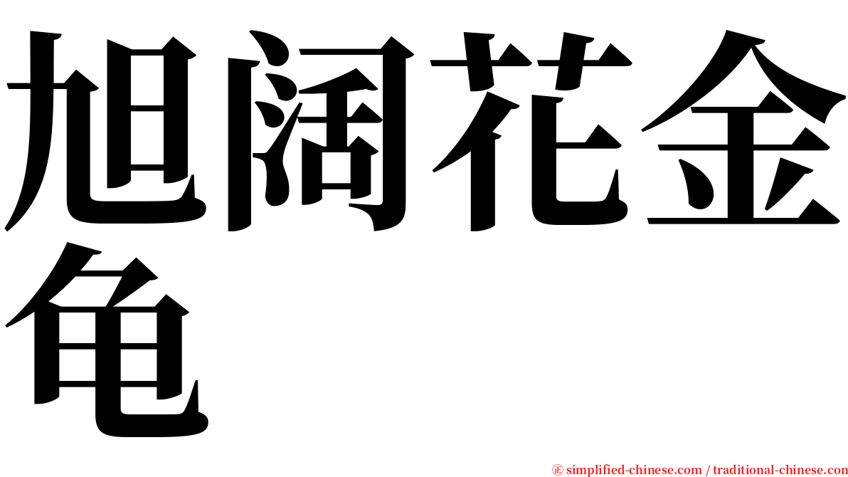 旭阔花金龟 serif font