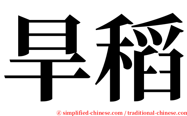 旱稻 serif font