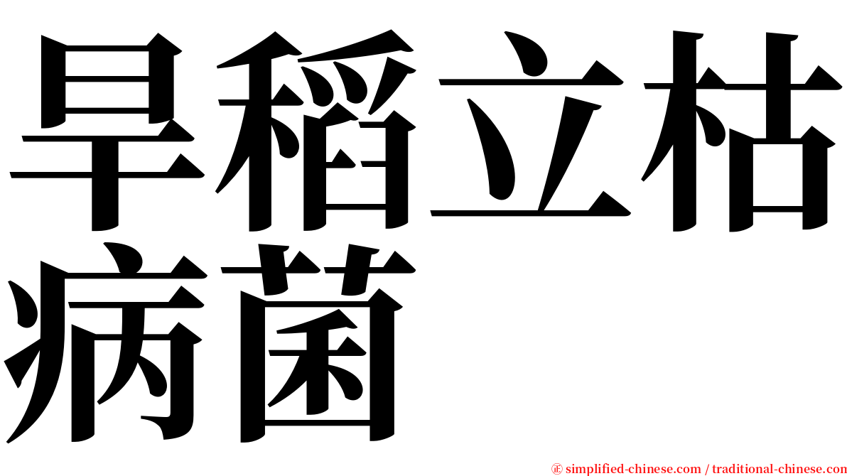 旱稻立枯病菌 serif font