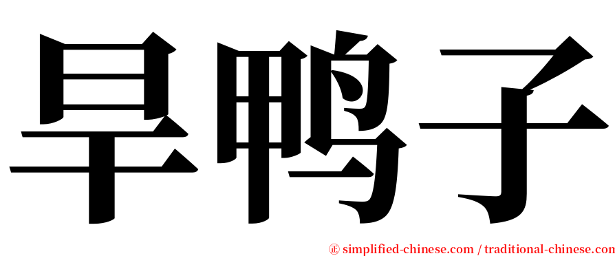 旱鸭子 serif font