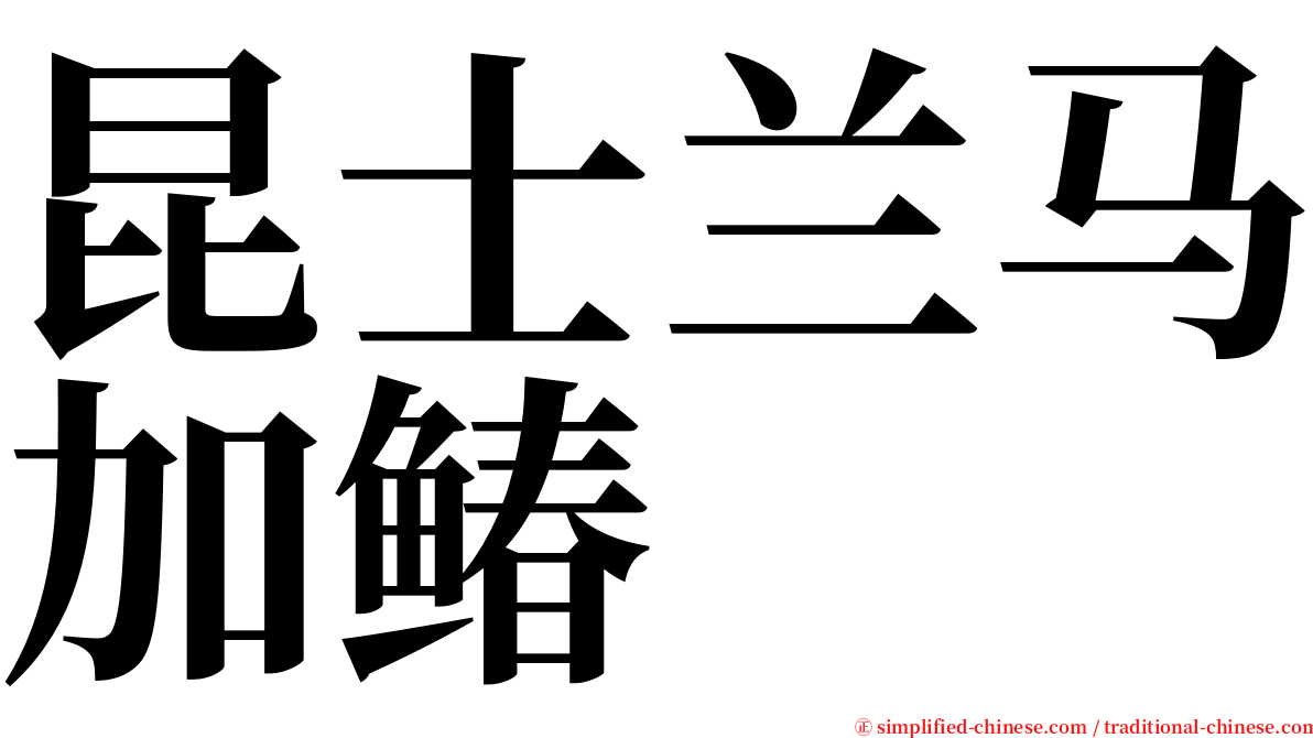 昆士兰马加䲠 serif font